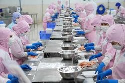 Doanh nghiệp thủy sản tăng tốc xuất khẩu sang Mỹ