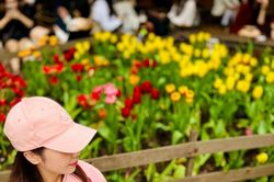 Cắt trà sữa, mang cơm đi làm – Gen Z sống tối giản... bất đắc dĩ