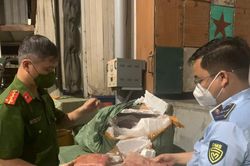 Phát hiện hơn 7 tấn thực phẩm bẩn, trứng non, tràng lợn đông lạnh