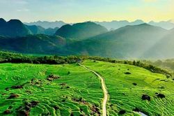 Ruộng bậc thang xanh mướt mùa lúa non 'đốn tim' du khách