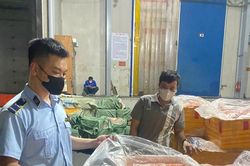 Phát hiện kho đông lạnh chứa hơn 7 tấn trứng non, tràng gà, nầm lợn không rõ nguồn gốc