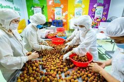 Xuất khẩu nông, lâm, thủy sản 4 tháng đầu năm tăng trưởng ấn tượng