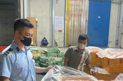 Phát hiện kho đông lạnh chứa hơn 7 tấn trứng non, nầm lợn không nguồn gốc
