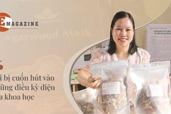 TS Nguyễn Thị Hồng Gấm: Mê tạo trầm hương từ chế phẩm sinh học