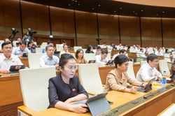 Quốc hội nghe Tờ trình về sửa đổi bổ sung một số điều của Hiến pháp