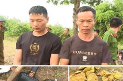 Bắt giữ 2 người Trung Quốc sang Việt Nam đào trộm mộ vua tìm cổ vật