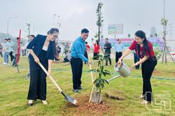 Thái Nguyên tăng cường công tác quản lý, bảo vệ môi trường