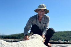 Nhọc nhằn mưu sinh trên cánh đồng muối Sa Huỳnh