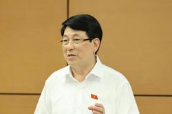 Chủ tịch nước Lương Cường: Khắc phục tình trạng hiểu luật nhưng lại 'lách luật', không hiểu thì làm sai luật