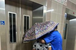 Loài côn trùng khiến người dân khổ sở nhưng không thể tiêu diệt