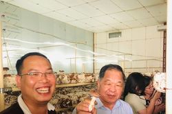 Sản xuất nông nghiệp hữu cơ: Còn lắm những gian nan