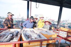 Một tàu cá của Ngư dân Nghệ An trúng đậm mẻ cá thu trị giá 700 triệu đồng