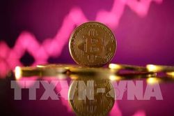 Giá bitcoin tăng vọt lên trên mốc 100.000 USD