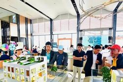 Sáp nhập TPHCM với Bình Dương và Bà Rịa - Vũng Tàu: Có nên xuống tiền mua đất?