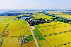 Quy định về hỗ trợ đào tạo, chuyển đổi nghề và tìm kiếm việc làm khi Nhà nước thu hồi đất