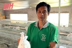 Bí thư chi bộ làm kinh tế giỏi