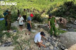 Giữ an toàn cho khách du lịch tự phát