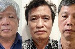 Sáng mai, loạt bị can trong vụ án Công ty Thái Dương khai thác trái phép đất hiếm hầu tòa