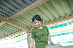 Phát triển kinh tế từ nuôi dúi