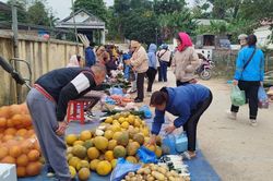 Giá cả thị trường ngày 11/5/2025