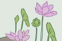 Một mùa sen thức giấc