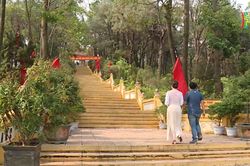 Nhớ Bác, về thăm Đồi 79 mùa xuân