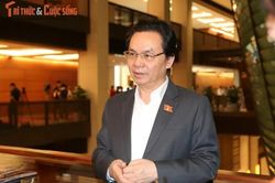 ĐBQH Hoàng Văn Cường: Không hình sự hóa rủi ro khoa học để khơi nguồn đột phá