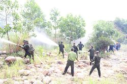 Phòng, chống cháy rừng cao điểm mùa nắng nóng