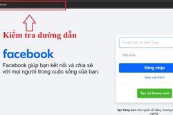Xuất hiện chiêu lừa online mới... dụ nạn nhân thản nhiên giao mật khẩu
