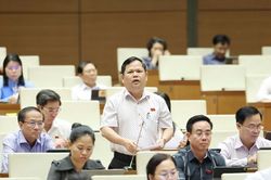 Cần tạo điều kiện cho kinh tế tư nhân phát triển, góp phần nâng cao hiệu quả sử dụng nguồn lực quốc gia