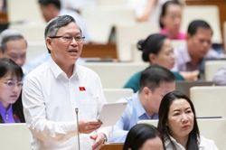 Cần bổ sung chính sách hỗ trợ cho nhà nghiên cứu, sáng tạo 'hai lúa'
