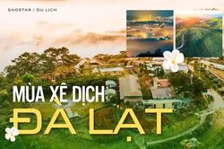Khám phá 'phiên bản mới' của Đà Lạt trong mùa hè năm nay