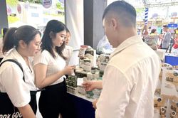 Để sản phẩm OCOP phát triển và vươn xa