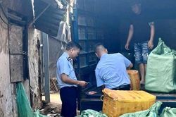 Hà Nội: Thu giữ 800 kg trứng gà non, tràng gà để điều tra xử lý