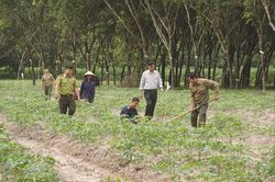 Vietcap ra mắt Dự án vì cộng đồng 'Vững xanh tài chính, phủ xanh Việt Nam'