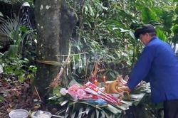 Nghi lễ cúng rừng của người Pa Dí ở Lào Cai là di sản quốc gia