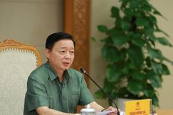 Thu hồi, tăng thuế với nhà đầu tư để đất đai hoang hóa, dự án kéo dài