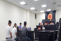 Xử phạt đối tượng cầm đầu đường dây buôn bán động vật hoang dã 7 năm tù