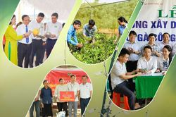 Nông dân Nghệ An làm theo lời Bác