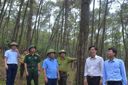 Phó Chủ tịch UBND tỉnh Nghệ An Nguyễn Văn Đệ kiểm tra công tác phòng cháy, chữa cháy rừng