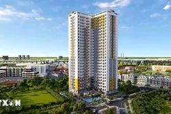 Tháo gỡ điểm nghẽn - Kinh tế tư nhân đã đủ lực nhưng thiếu đà