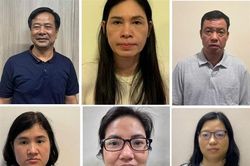 Khởi tố vợ chồng Chủ tịch Công ty Cung ứng nhân lực Hoàng Long