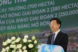 Kinh tế xanh là một trụ cột chiến lược đưa đất nước tiến lên mạnh mẽ trong thời kỳ mới