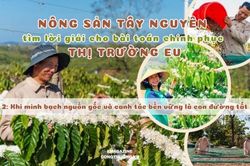 Bài 2: Khi minh bạch nguồn gốc và canh tác bền vững là con đường tất yếu