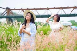 Bãi cỏ hồng dưới chân cầu Long Biên thu hút khách check-in