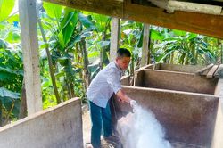 Nghệ An: Không chủ quan trước dịch tả lợn châu Phi tái phát nhiều nơi