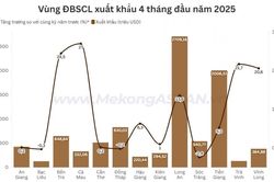 Đồng bằng sông Cửu Long xuất siêu 3,88 tỷ USD