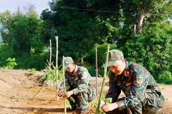 Lực lượng quân sự Đắk Nông phát động Tết trồng cây nhớ ơn Bác Hồ