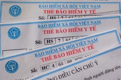 Lào Cai siết chặt quản lý, xử lý vi phạm trong lĩnh vực BHXH, BHYT