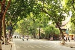 Thời tiết ngày 20/5, Hà Nội tiếp tục ngày nắng nóng đêm mưa